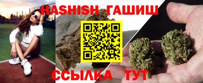стафф Камышлов