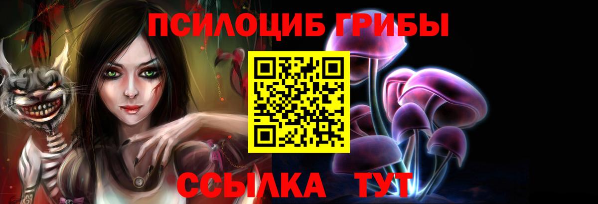 Галлюциногенные грибы MAGIC MUSHROOMS  Галлюциногенные грибы Cubensis  Дербент  Вход с VPN 